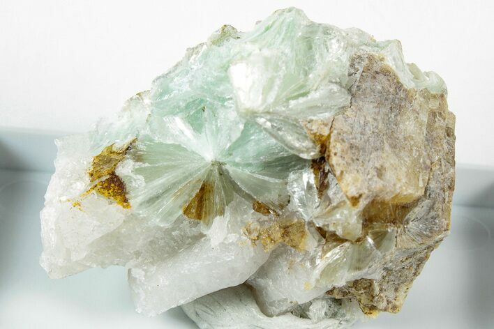 Sea Foam Green Pyrophyllite Crystal Aggregation - Switzerland #317235